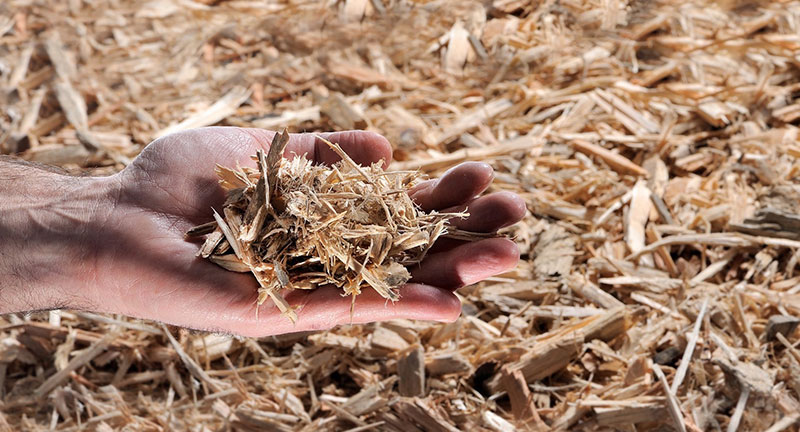 smaltimento legno e cippato